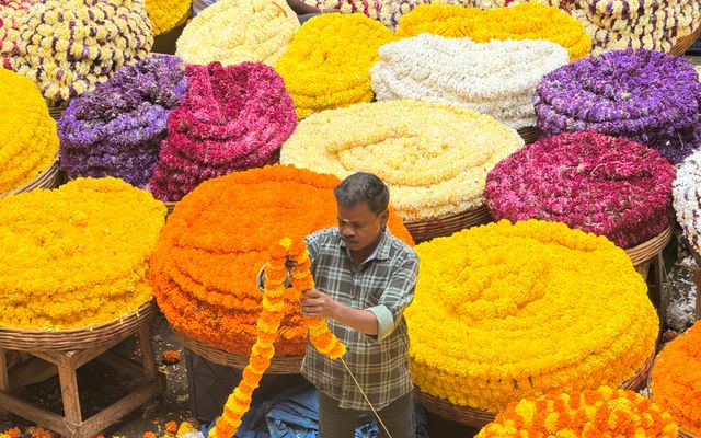 Fresh marigold garlands at an Indian flower market